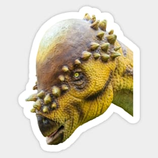 Head of a Pachycephalosaurus dinosaur Sticker